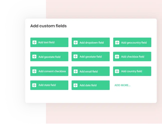 custom field